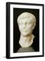 Roman Civilization Head of Drusus Minor from Roselle, Domus of the Mosaics, Tuscany Region, Italy-null-Framed Giclee Print