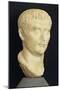 Roman Civilization Head of Tiberius from Roselle, Domus of the Mosaics, Tuscany Region, Italy-null-Mounted Giclee Print