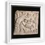 White Frame