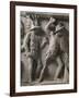 Roman Civilization, Relief with Scenes of Gladiatorial Combat and Games-null-Framed Giclee Print