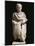 Roman Civilization, Statue of Gaul Soldier, from Avignon, France-null-Mounted Giclee Print