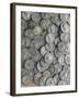 Roman Coins from Treasure of Dolinnoe, Moldova-null-Framed Giclee Print