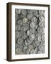 Roman Coins from Treasure of Dolinnoe, Moldova-null-Framed Giclee Print