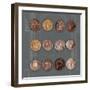 Roman Coins I-The Vintage Collection-Framed Giclee Print