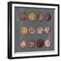 Roman Coins I-The Vintage Collection-Framed Giclee Print