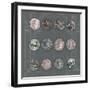 Roman Coins II-The Vintage Collection-Framed Giclee Print