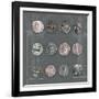 Roman Coins II-The Vintage Collection-Framed Giclee Print