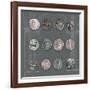 Roman Coins II-The Vintage Collection-Framed Giclee Print