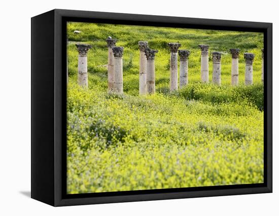 Roman columns rising above field of wildflowers-O. and E. Alamany and Vicens-Framed Stretched Canvas
