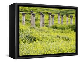 Roman columns rising above field of wildflowers-O. and E. Alamany and Vicens-Framed Stretched Canvas