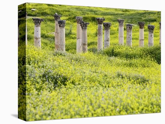 Roman columns rising above field of wildflowers-O. and E. Alamany and Vicens-Stretched Canvas