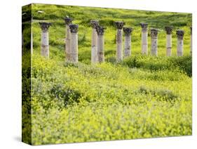 Roman columns rising above field of wildflowers-O. and E. Alamany and Vicens-Stretched Canvas