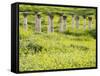 Roman columns rising above field of wildflowers-O. and E. Alamany and Vicens-Framed Stretched Canvas