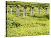 Roman columns rising above field of wildflowers-O. and E. Alamany and Vicens-Stretched Canvas