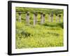 Roman columns rising above field of wildflowers-O. and E. Alamany and Vicens-Framed Photographic Print