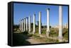 Roman Columns, Salamis, North Cyprus-Peter Thompson-Framed Stretched Canvas