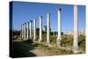 Roman Columns, Salamis, North Cyprus-Peter Thompson-Stretched Canvas
