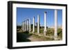 Roman Columns, Salamis, North Cyprus-Peter Thompson-Framed Photographic Print