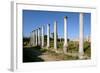 Roman Columns, Salamis, North Cyprus-Peter Thompson-Framed Photographic Print