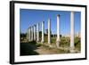 Roman Columns, Salamis, North Cyprus-Peter Thompson-Framed Photographic Print