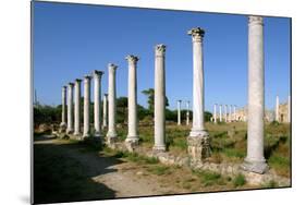 Roman Columns, Salamis, North Cyprus-Peter Thompson-Mounted Photographic Print