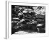 Roman Construction-null-Framed Photographic Print