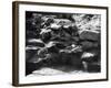 Roman Construction-null-Framed Photographic Print