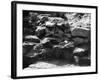 Roman Construction-null-Framed Photographic Print