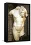Roman Copy of a Greek Statue of a Male Torso-null-Framed Stretched Canvas