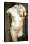 Roman Copy of a Greek Statue of a Male Torso-null-Stretched Canvas