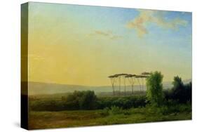 Roman Countryside-Pierre Henri de Valenciennes-Stretched Canvas