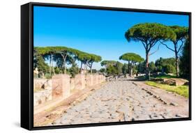 Roman Decumanus, Ostia Antica archaeological site, Ostia, Rome province, Latium (Lazio), Italy-Nico Tondini-Framed Stretched Canvas