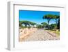 Roman Decumanus, Ostia Antica archaeological site, Ostia, Rome province, Latium (Lazio), Italy-Nico Tondini-Framed Photographic Print