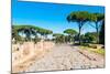 Roman Decumanus, Ostia Antica archaeological site, Ostia, Rome province, Latium (Lazio), Italy-Nico Tondini-Mounted Photographic Print