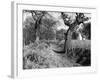 Roman Ditch-null-Framed Photographic Print