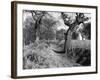 Roman Ditch-null-Framed Photographic Print