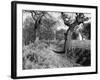 Roman Ditch-null-Framed Photographic Print