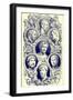 Roman Emperors, Illustration from 'The Illustrated History of the World', Published C.1880-English-Framed Premium Giclee Print