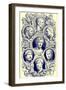 Roman Emperors, Illustration from 'The Illustrated History of the World', Published C.1880-English-Framed Giclee Print