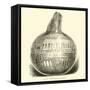 Roman Engraved Glass Bottle-null-Framed Stretched Canvas