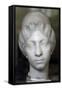 Roman Female Portrait Head, the So Called Syrian Lady, Third Quarter of 2nd Century-null-Framed Stretched Canvas