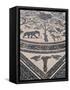 Roman Floor Mosaic, Archaeological Site of Volubilis, Unesco World Heritage Site, Morocco-R H Productions-Framed Stretched Canvas