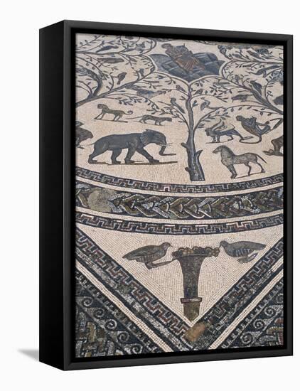 Roman Floor Mosaic, Archaeological Site of Volubilis, Unesco World Heritage Site, Morocco-R H Productions-Framed Stretched Canvas