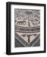 Roman Floor Mosaic, Archaeological Site of Volubilis, Unesco World Heritage Site, Morocco-R H Productions-Framed Photographic Print