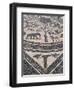 Roman Floor Mosaic, Archaeological Site of Volubilis, Unesco World Heritage Site, Morocco-R H Productions-Framed Photographic Print