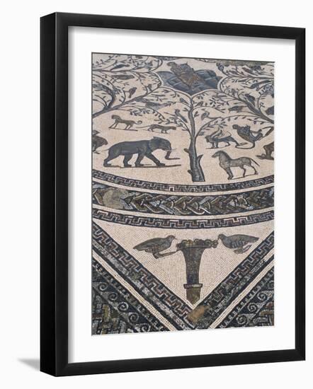 Roman Floor Mosaic, Archaeological Site of Volubilis, Unesco World Heritage Site, Morocco-R H Productions-Framed Photographic Print