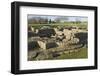 Roman Fort and Settlement at Vindolanda, South Side of Roman Wall, England-James Emmerson-Framed Photographic Print