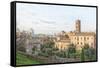 Roman Forum Panorama-Tonygers-Framed Stretched Canvas