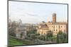 Roman Forum Panorama-Tonygers-Mounted Photographic Print