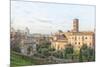 Roman Forum Panorama-Tonygers-Mounted Photographic Print